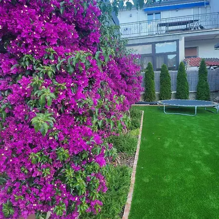 Apartment Franka Tribunj (Sibenik-Knin)