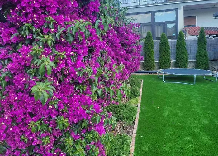 Apartment Franka Tribunj (Sibenik-Knin)